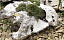 Глыбы Туф, 500-1000 мм
