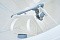 Biodevice ECO 4